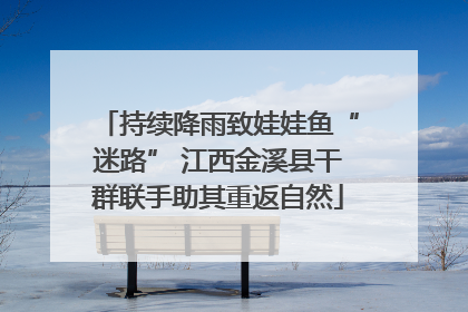持续降雨致娃娃鱼“迷路” 江西金溪县干群联手助其重返自然