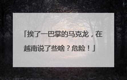 挨了一巴掌的马克龙，在越南说了些啥？危险！