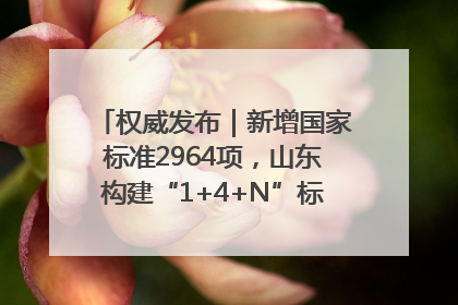 权威发布｜新增国家标准2964项，山东构建“1+4+N”标准化创新发展新格局