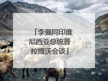 李强同印度尼西亚总统普拉博沃会谈