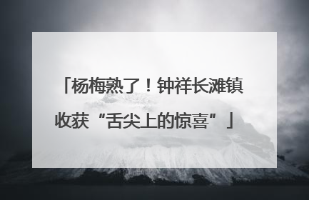杨梅熟了！钟祥长滩镇收获“舌尖上的惊喜”