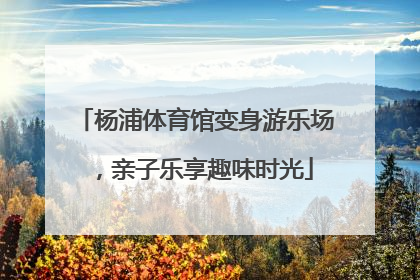 杨浦体育馆变身游乐场，亲子乐享趣味时光