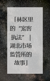 林区里的“宠客执法”｜湖北市场监管所的故事