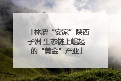 林麝“安家”陕西子洲 生态链上崛起的“黄金”产业