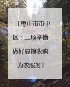 枣庄市市中区：三项举措做好夏粮收购为农服务