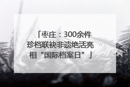 枣庄：300余件珍档联袂非遗绝活亮相“国际档案日”