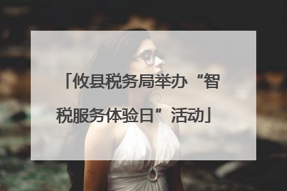 攸县税务局举办“智税服务体验日”活动