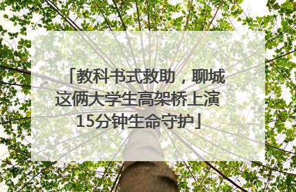 教科书式救助，聊城这俩大学生高架桥上演15分钟生命守护