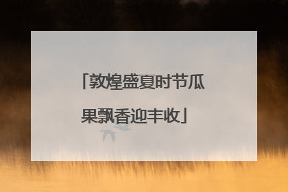 敦煌盛夏时节瓜果飘香迎丰收