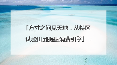 方寸之间见天地：从特区试验田到提振消费引擎