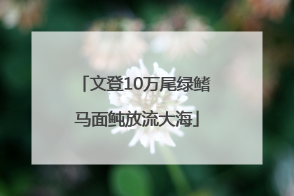 文登10万尾绿鳍马面鲀放流大海