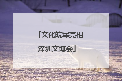 文化皖军亮相深圳文博会