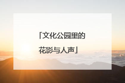 文化公园里的花影与人声