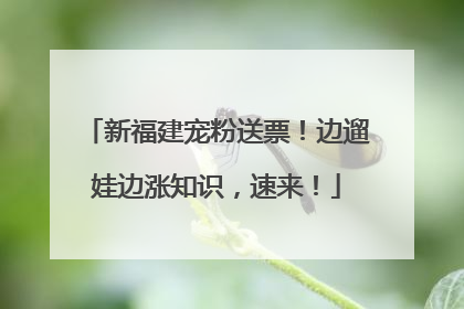 新福建宠粉送票！边遛娃边涨知识，速来！