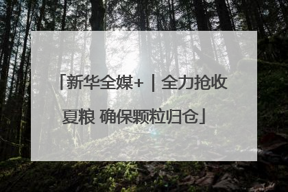新华全媒+｜全力抢收夏粮 确保颗粒归仓