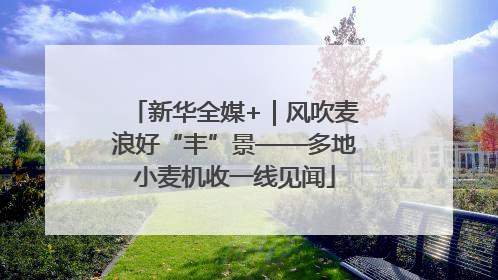 新华全媒+｜风吹麦浪好“丰”景——多地小麦机收一线见闻