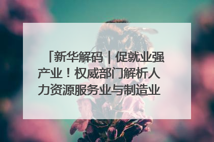 新华解码｜促就业强产业！权威部门解析人力资源服务业与制造业融合发展试点