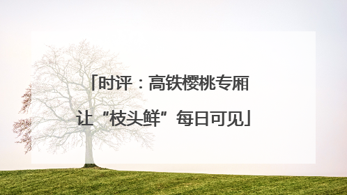 时评：高铁樱桃专厢 让“枝头鲜”每日可见
