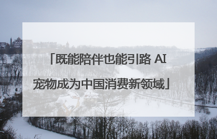既能陪伴也能引路 AI宠物成为中国消费新领域