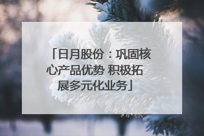 日月股份：巩固核心产品优势 积极拓展多元化业务