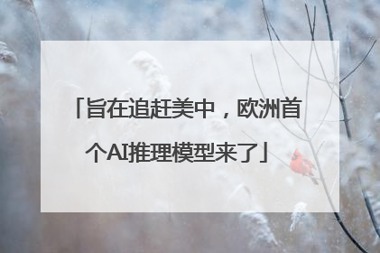 旨在追赶美中，欧洲首个AI推理模型来了