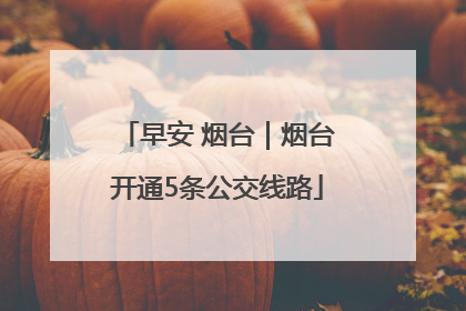 早安 烟台｜烟台开通5条公交线路