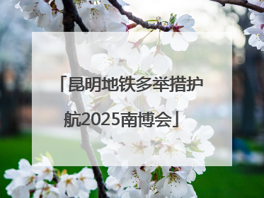 昆明地铁多举措护航2025南博会
