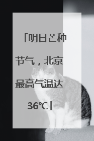明日芒种节气，北京最高气温达36℃