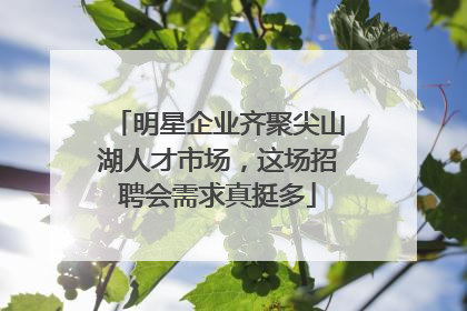 明星企业齐聚尖山湖人才市场，这场招聘会需求真挺多