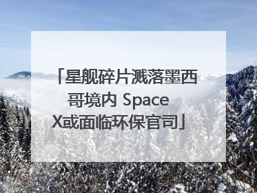 星舰碎片溅落墨西哥境内 SpaceX或面临环保官司