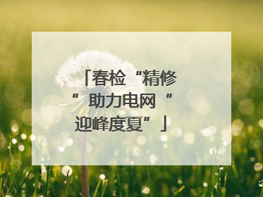 春检“精修”助力电网“迎峰度夏”