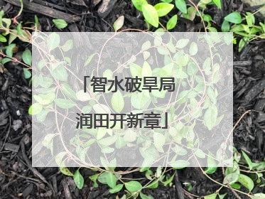 智水破旱局 润田开新章