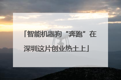 智能机器狗“奔跑”在深圳这片创业热土上