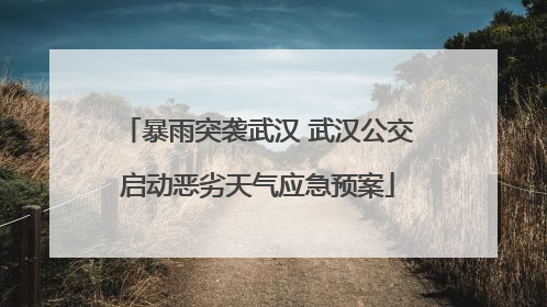 暴雨突袭武汉 武汉公交启动恶劣天气应急预案
