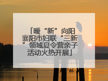 暖“新”向阳 襄阳市妇联“三新”领域夏令营亲子活动火热开展