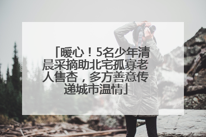 暖心！5名少年清晨采摘助北宅孤寡老人售杏，多方善意传递城市温情