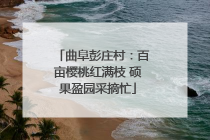 曲阜彭庄村：百亩樱桃红满枝 硕果盈园采摘忙