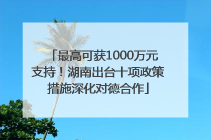 最高可获1000万元支持！湖南出台十项政策措施深化对德合作