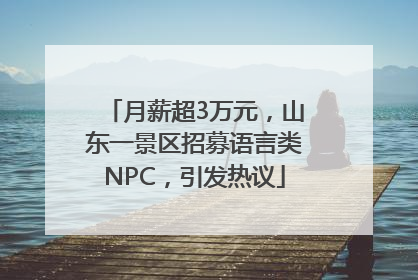 月薪超3万元，山东一景区招募语言类NPC，引发热议
