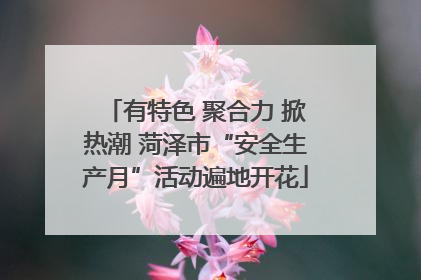有特色 聚合力 掀热潮 菏泽市“安全生产月”活动遍地开花