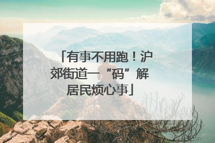 有事不用跑！沪郊街道一“码”解居民烦心事