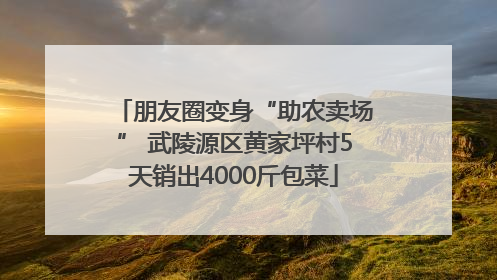 朋友圈变身“助农卖场” 武陵源区黄家坪村5天销出4000斤包菜