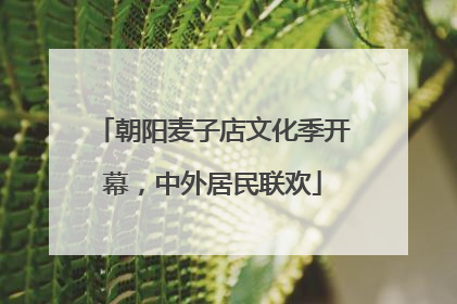 朝阳麦子店文化季开幕，中外居民联欢