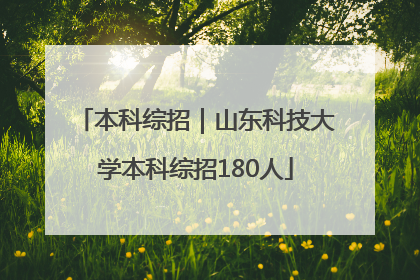 本科综招｜山东科技大学本科综招180人