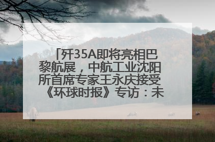 歼35A即将亮相巴黎航展，中航工业沈阳所首席专家王永庆接受《环球时报》专访：未来数量可以有很多
