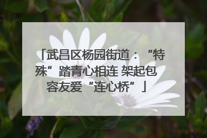武昌区杨园街道：“特殊”踏青心相连 架起包容友爱“连心桥”