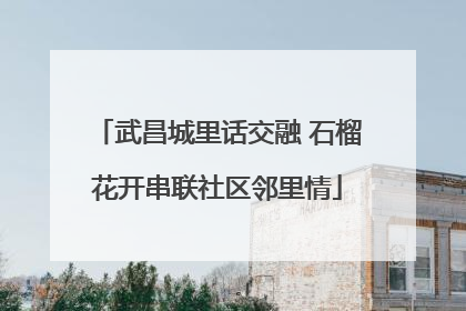 武昌城里话交融 石榴花开串联社区邻里情