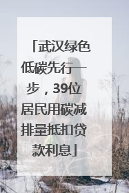 武汉绿色低碳先行一步，39位居民用碳减排量抵扣贷款利息
