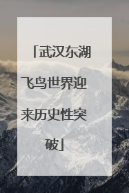 武汉东湖飞鸟世界迎来历史性突破