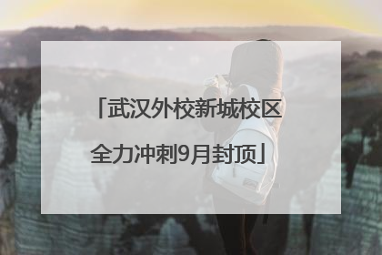 武汉外校新城校区全力冲刺9月封顶